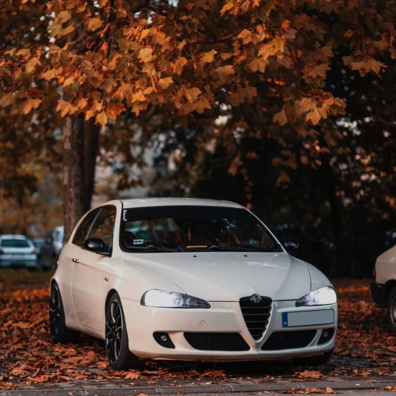 White Alfa Romeo